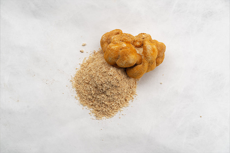 Gombászok kézikönyve: hogyan hatnak az adaptogén gombák a testre és az elmére?