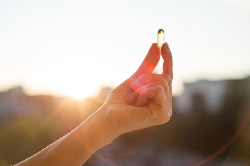 houba lions mane na bílém pozadí