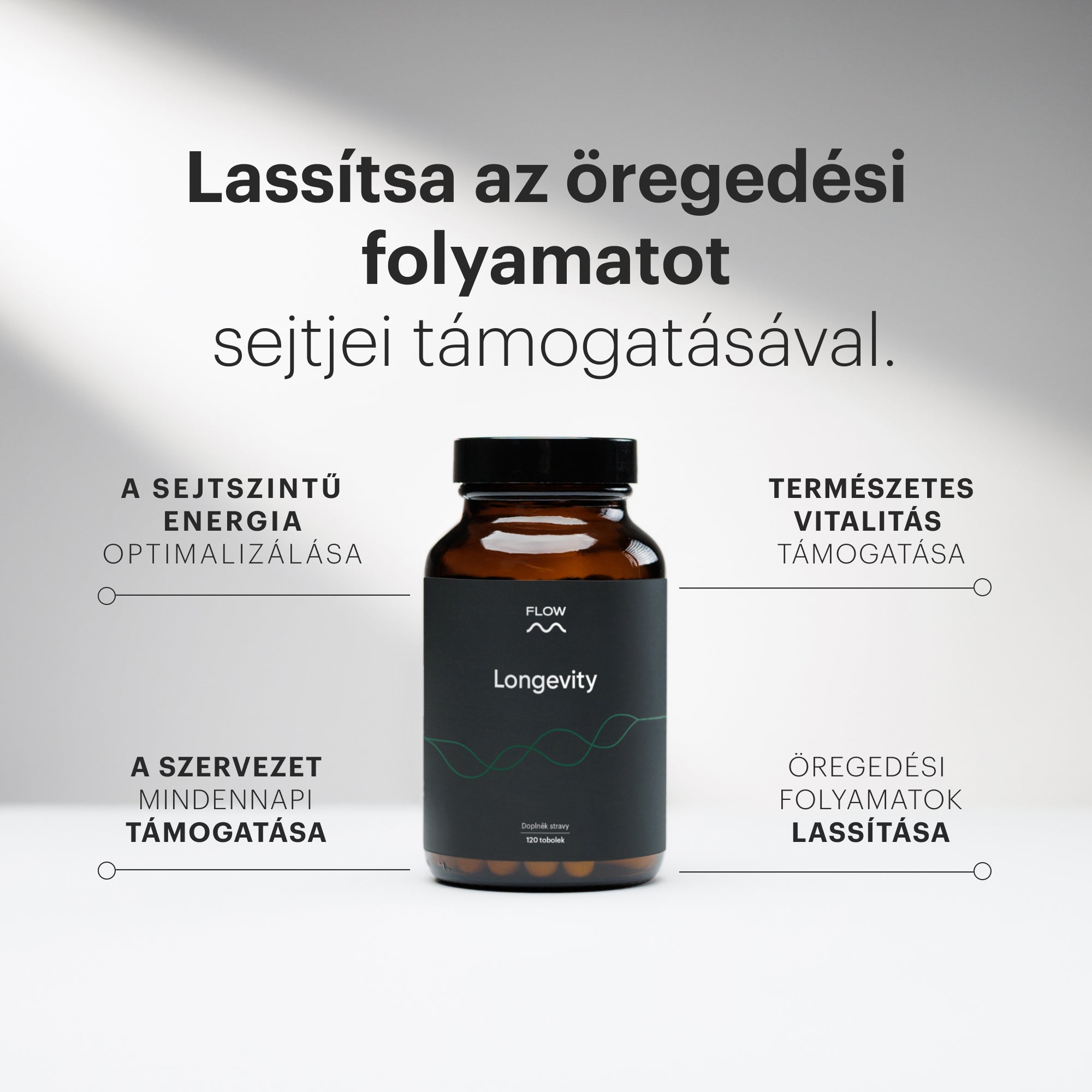 Longevity 4.0